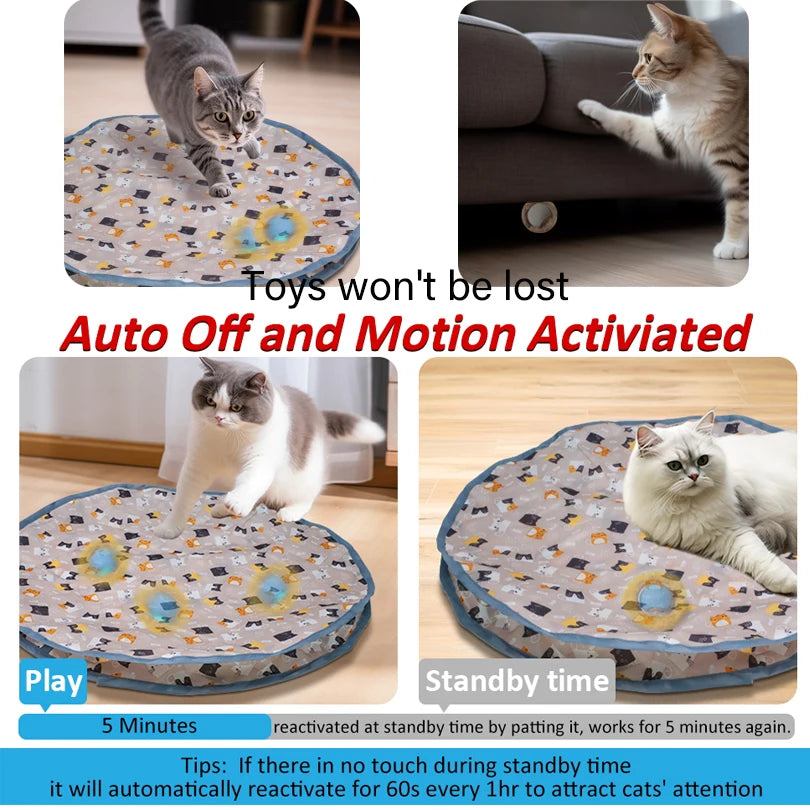 Interactive Hide and Seek Cat Toy