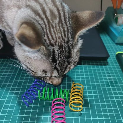 Toy Colorful Coil Springs