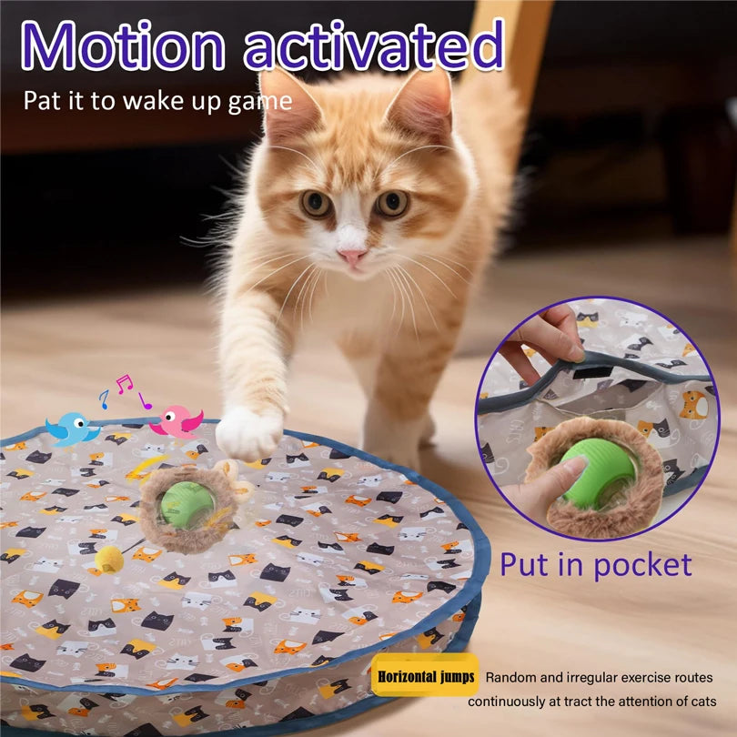 Interactive Hide and Seek Cat Toy