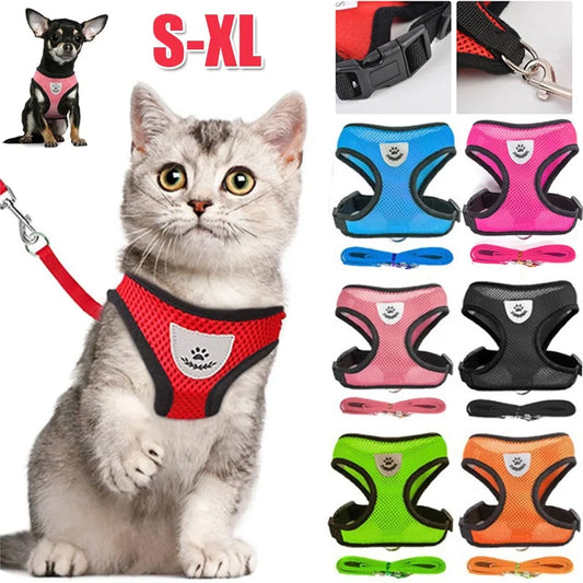 Cat Harness with Lead Leash