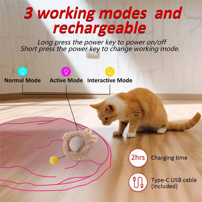 Interactive Hide and Seek Cat Toy