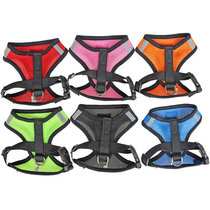 Cat Harness with Lead Leash